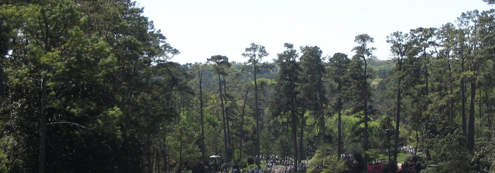 Wide view down the tree-lined fairway of the 10th hole, Camellia, at Augusta National Golf Club in Augusta, Georgia - Augusta National Golf Club tickets